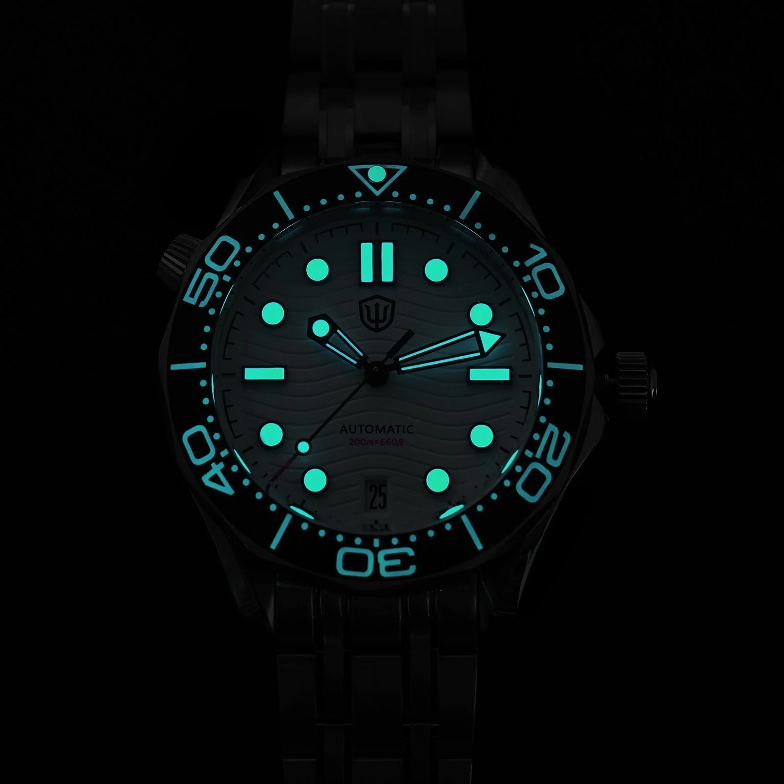 Watchdives WD007ST 39mm NTTD Dive Watch - Image 45