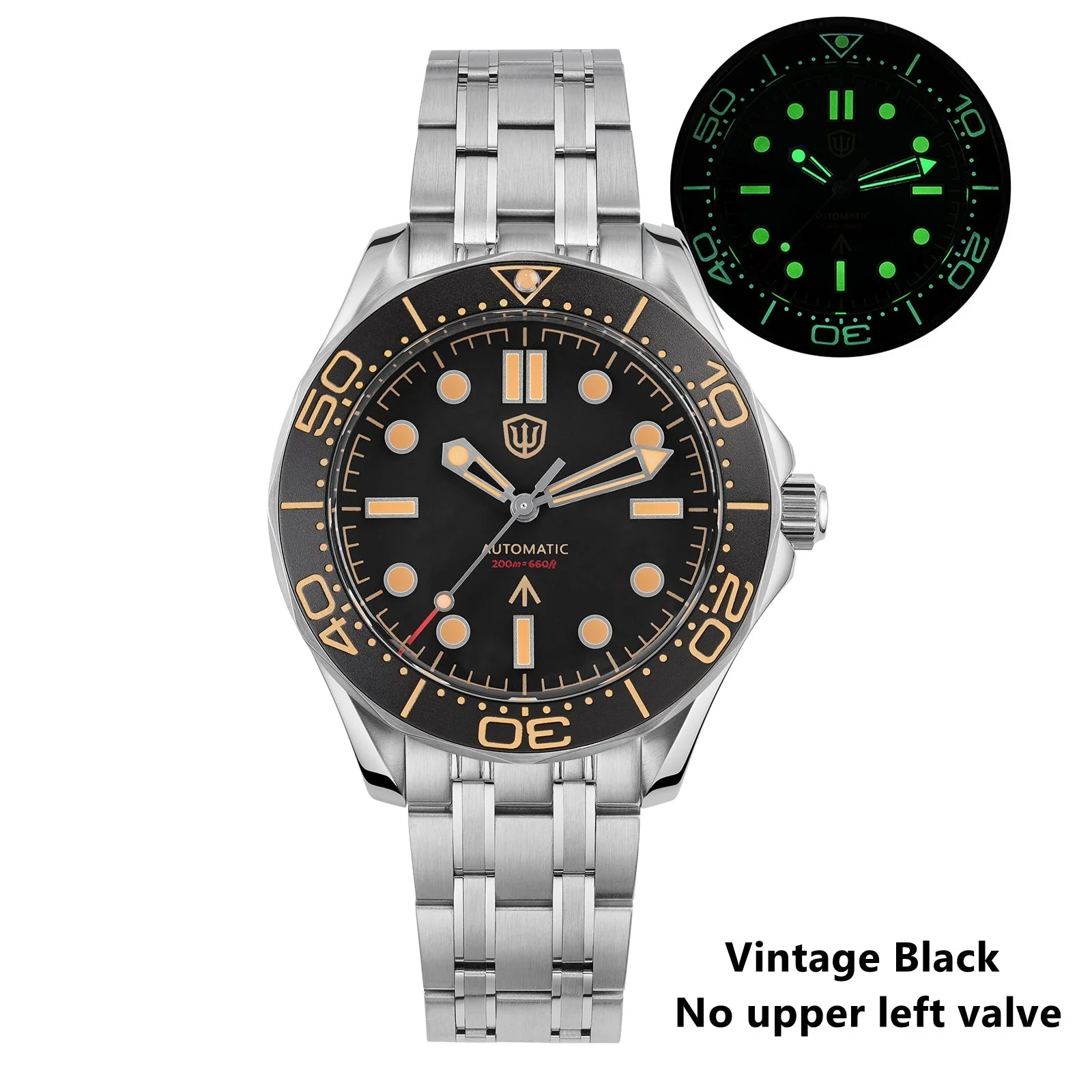 Watchdives WD007ST 39mm NTTD Dive Watch - Image 50