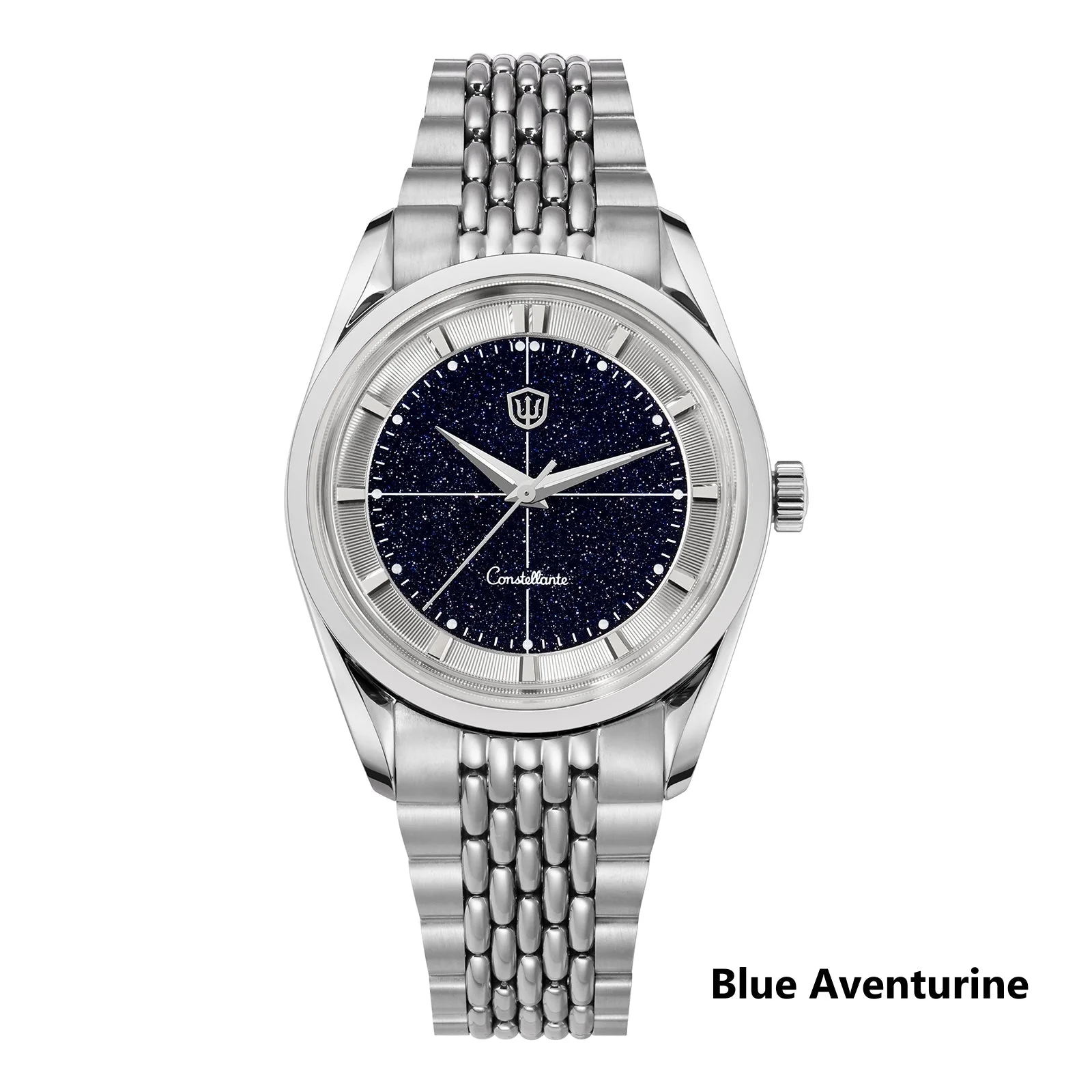 Watchdives WD1954 Arctic Classic 36mm VH31 Watch - Image 2