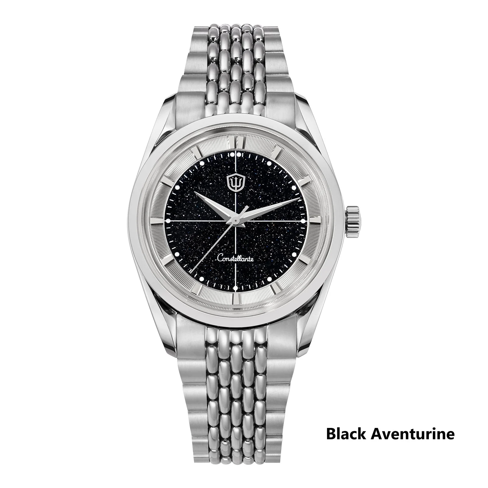 Watchdives WD1954 Arctic Classic 36mm VH31 Watch - Image 3