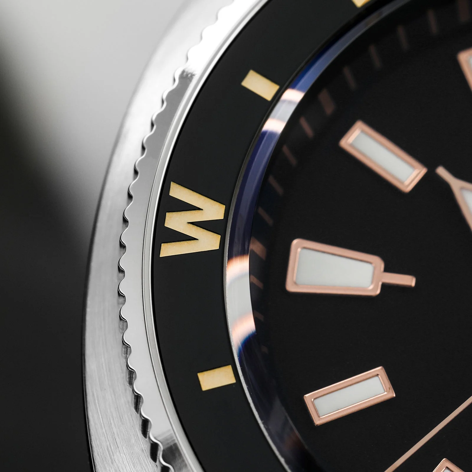 Watchdives Land Tortoisen WD6105 Dive Watch - Image 6